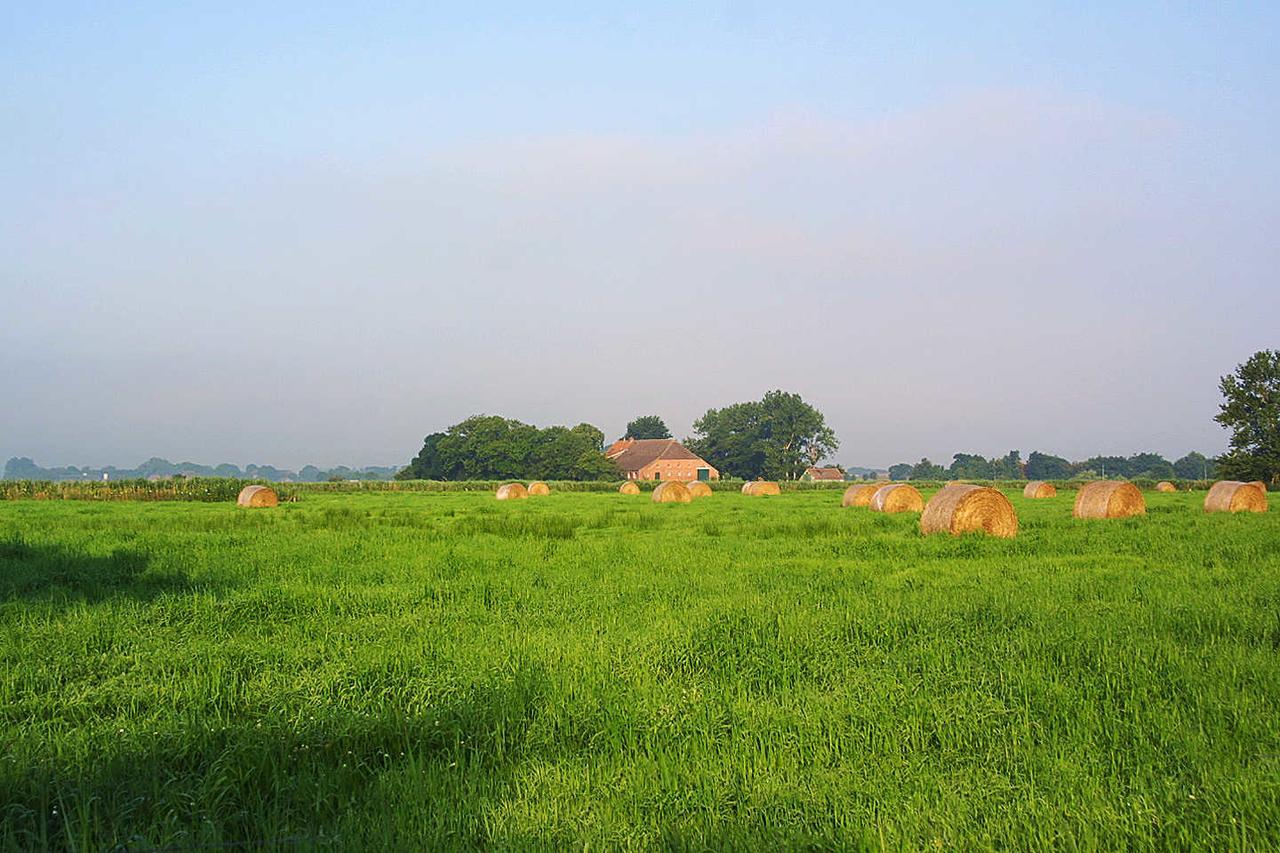 Ferienwohnungen Haus Westwind Bensersiel Luaran gambar